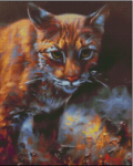 (image for) Night Stalker - JM